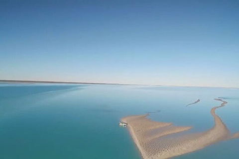 The Island Sandbar Experience - Accommodation Daintree 7
