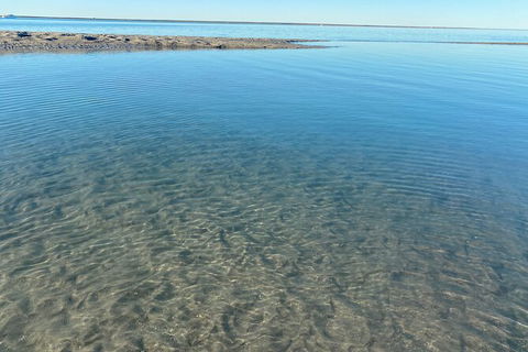 The Island Sandbar Experience - Accommodation Daintree 4