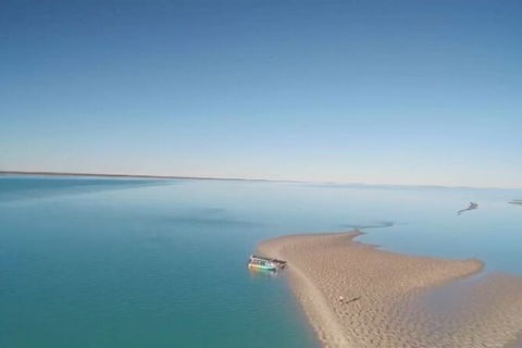 The Island Sandbar Experience - Accommodation Daintree 6
