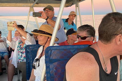 The Island Sandbar Experience - Accommodation Daintree 3