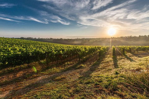 Perth To Margaret River Wine Tour - 2 Day Premium Boutique Wine Tour Experience - Accommodation Daintree 0
