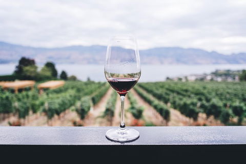 Full-Day Gourmet Wine Tour With Pick Up And Lunch - Accommodation Daintree 1