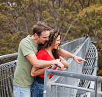 Valley of the Giants Tree Top Walk - Accommodation Daintree