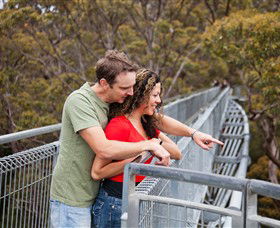 Valley Of The Giants Tree Top Walk - Accommodation Daintree 0