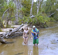 Tjuwaliyn / Douglas Hot Springs Park - Accommodation Daintree