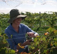 Kingsdale Wines - Accommodation Daintree