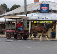 Bathurst Farm Experience - Accommodation Daintree