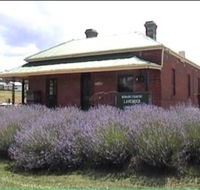 Lavender House in Railway Park - Accommodation Daintree