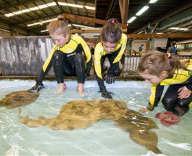 Dandenong South VIC Accommodation Daintree