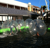 Aussie Waterballs - Accommodation Daintree