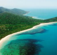 Jungle Tours and Trekking - Accommodation Daintree