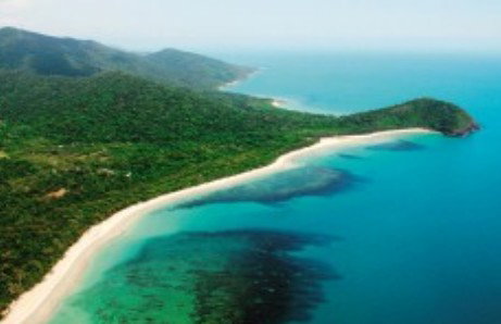 Jungle Tours And Trekking - Accommodation Daintree 0