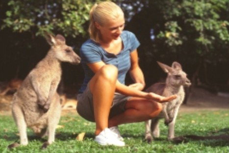 Jungle Tours And Trekking - Accommodation Daintree 1