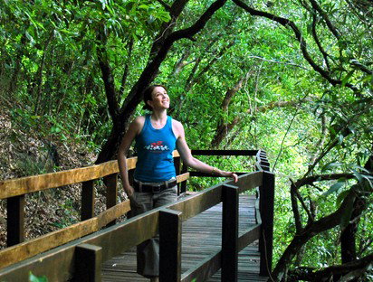 Jungle Tours And Trekking - Accommodation Daintree 4