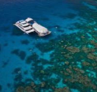 Great Adventures Reef and Green Island Cruises - Accommodation Daintree