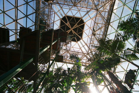 Cairns ZOOm And Wildlife Dome - Accommodation Daintree 1