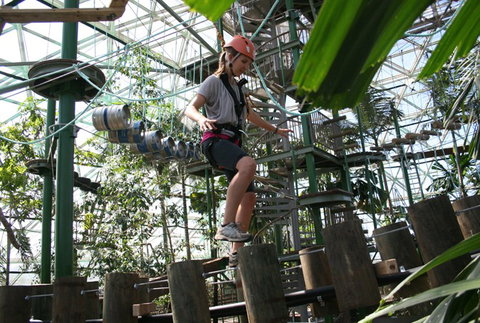 Cairns ZOOm And Wildlife Dome - Accommodation Daintree 2