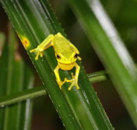 Daintree River Cruise Centre - Accommodation Daintree