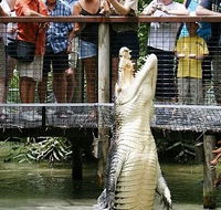 Hartley's Crocodile Adventures - Accommodation Daintree