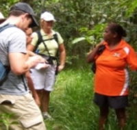 Ingan Tours - Spirit of the Rainforest Tour - Accommodation Daintree