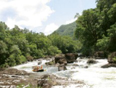 RnR White Water Rafting - Accommodation Daintree 3