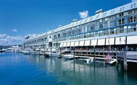 Woolloomooloo NSW Accommodation Daintree