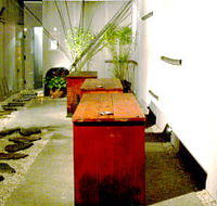 Koi - Accommodation Daintree