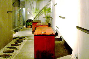 Koi - Accommodation Daintree 0