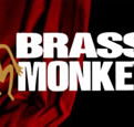 The Brass Monkey - Accommodation Daintree