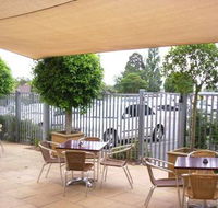 Coach  Horses - Accommodation Daintree