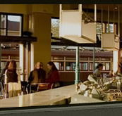 The Grand Bar - Accommodation Daintree
