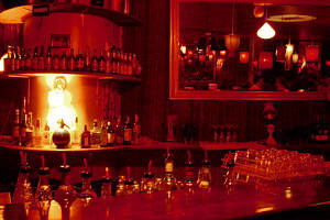 The Night Cat - Accommodation Daintree 0