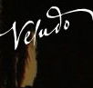 Veludo - Accommodation Daintree