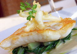 Glenelg South SA Accommodation Daintree