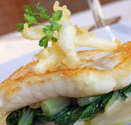 Broadway Hotel - Accommodation Daintree