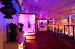 Circus Bar  Night Club - Accommodation Daintree