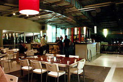 Martini Bar - Accommodation Daintree 1