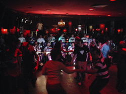 The Night Cat - Accommodation Daintree 1