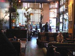 Blackcat - Accommodation Daintree 1