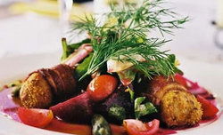 Fulham Gardens SA Accommodation Daintree