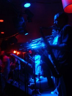 The Night Cat - Accommodation Daintree 2