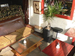 Blackcat - Accommodation Daintree 2