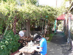 Blackcat - Accommodation Daintree 3