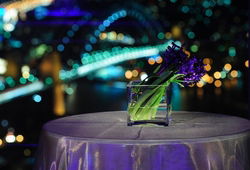 Summit - Orbit Lounge Bar - Accommodation Daintree 3