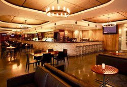 Martin Place Bar - Accommodation Daintree 0