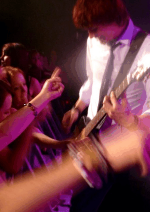 Arundel QLD Accommodation Daintree