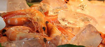 Centrepoint Buffet - Accommodation Daintree 1