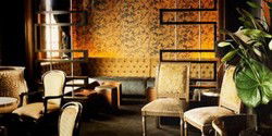 Soda Bar - Accommodation Daintree 0