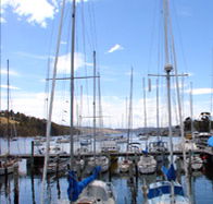 Oyster Cove Inn - Accommodation Daintree