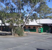 Cedars Tavern - Accommodation Daintree